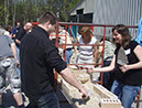 Perth09_029