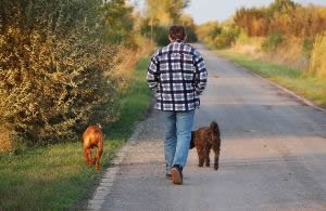 picture of man walking dogs