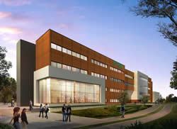 library view