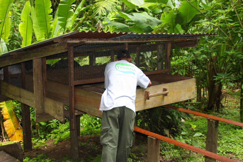 Cacao_dryingbin