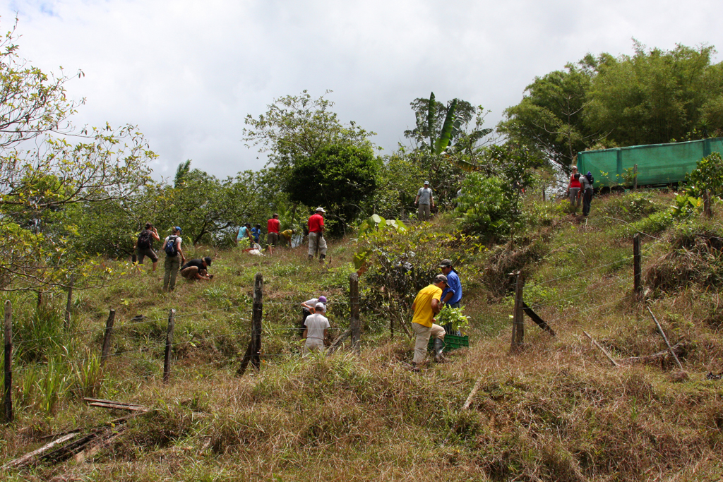 ElTigre_TreePlanting2