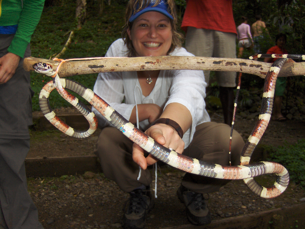 Rios_Coralsnake_Susan