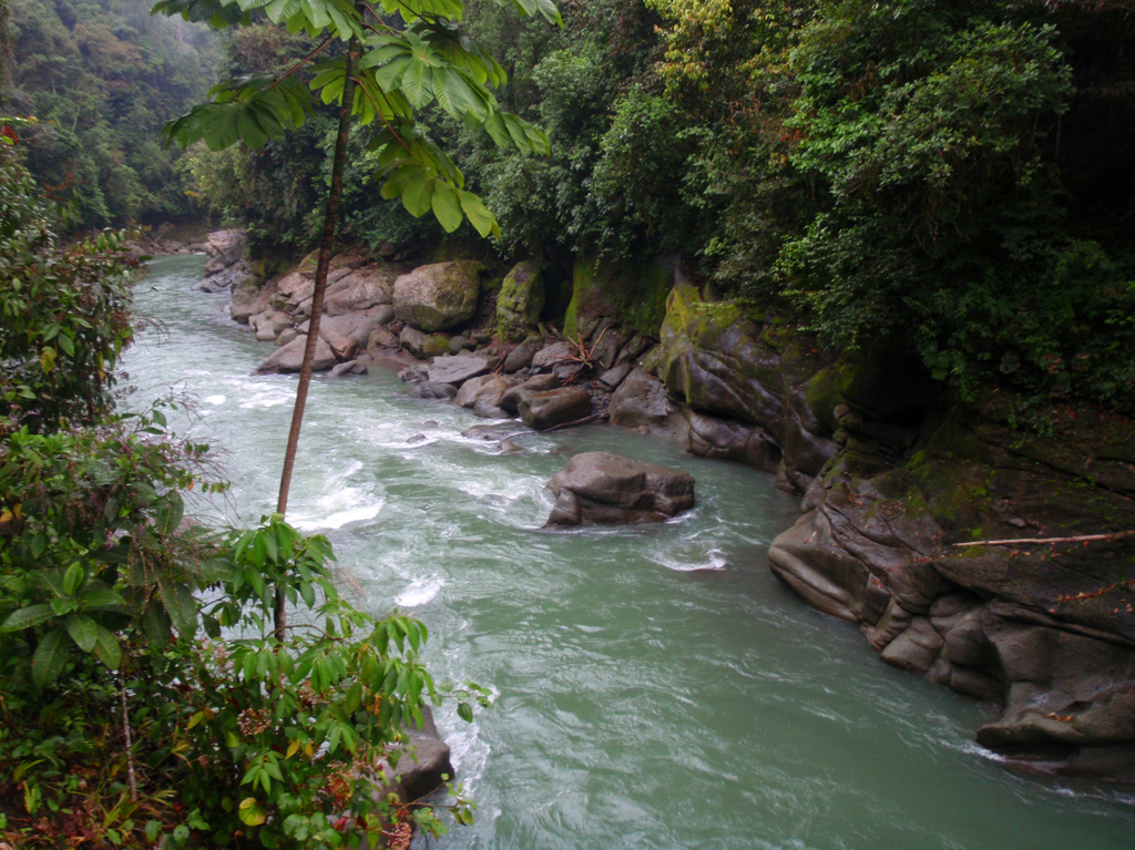 Rios_lodge29