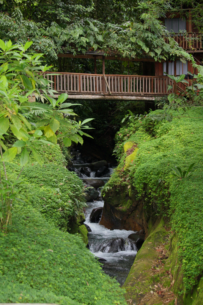 Rios_lodge9