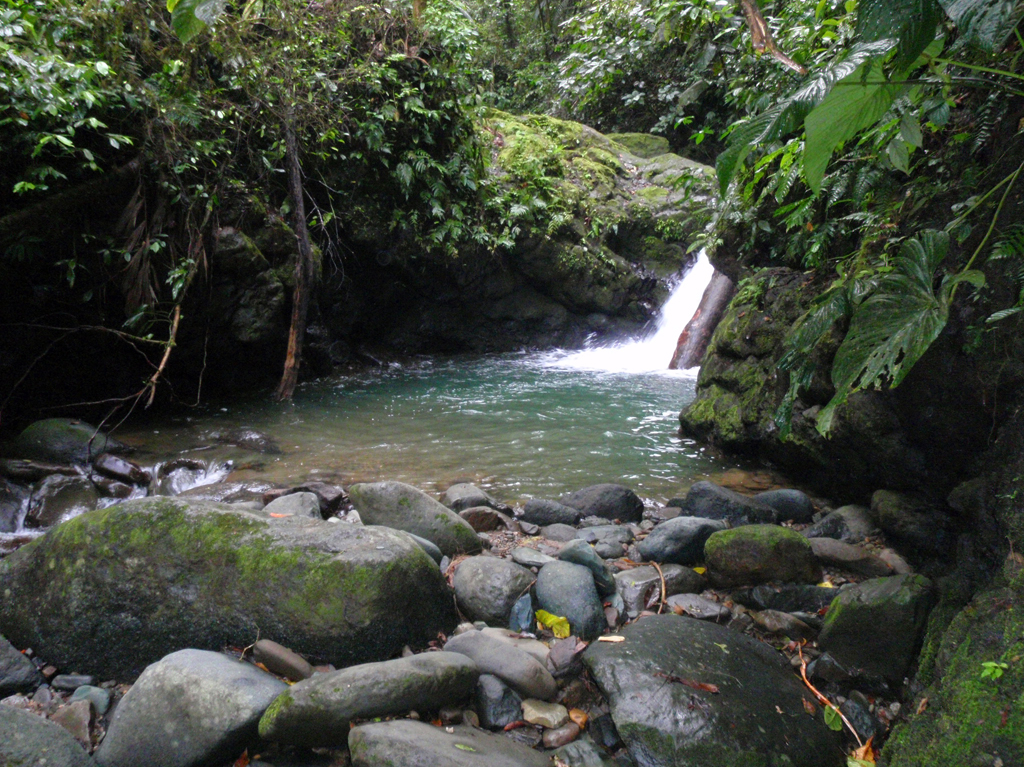 Rios_waterhole