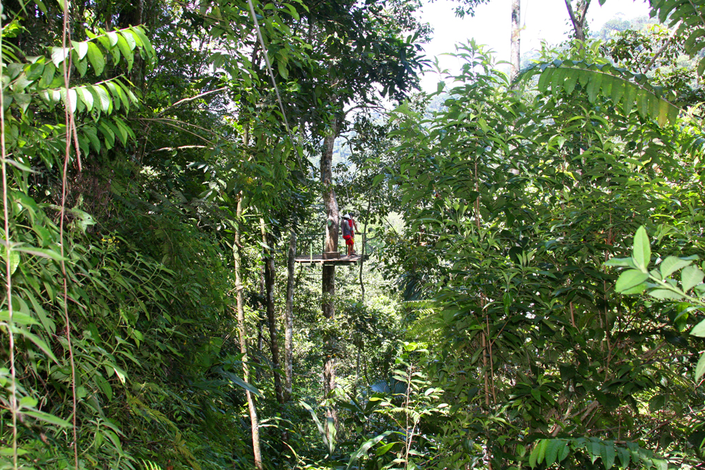 Zipline_Platform