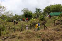 ElTigre_TreePlanting2