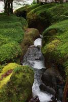 Rios_lodge13