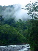 Rios_lodge21