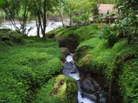 Rios_lodge36