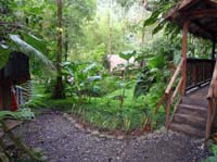 Rios_lodge37