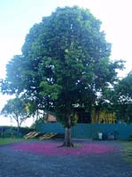 Rios_operationcentre