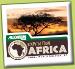 Africa