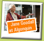 Jane Goodall